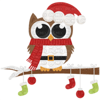 Santa Owl - zdarma png