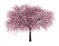 strom - ücretsiz png