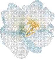 Watercolor Flower - darmowe png