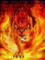 fire animal bp - Besplatni animirani GIF