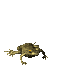 frog fail - Bezmaksas animēts GIF