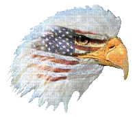 Eagle Head w Flag 99999999999 - Nemokamas animacinis gif