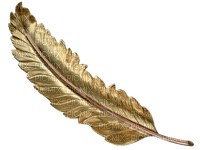 feather gold vintage - PNG gratuit
