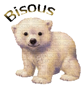 bisous ourson - 免费动画 GIF