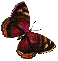 red butterfly glitter - GIF animado gratis