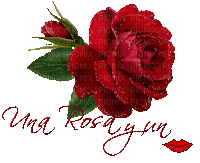 MMarcia gif flor fleur rosa rose flower red - Free animated GIF