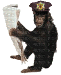 Kaz_Creations Monkey Animals - GIF animado gratis