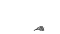 STAMP EFECT KINOTOKINO - Bezmaksas animēts GIF