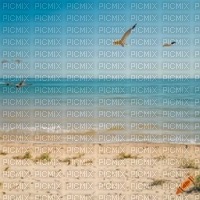 Beach with Seagulls - ingyenes png