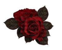 Red.Roses.Fleurs.Rose.Victoriabea - PNG gratuit
