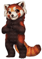 red panda - ücretsiz png