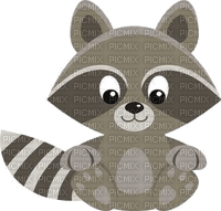 racoon - zadarmo png