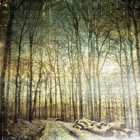 Winter Forest - ücretsiz png