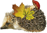 Armadillo con hongo y hojas de otoño - Free PNG