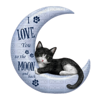 I love you to the moon and back - PNG gratuit