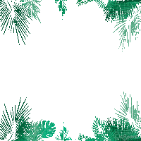soave frame animated leaves tropical palm summer - Bezmaksas animēts GIF