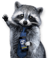 Kaz_Creations Raccoon - nemokama png