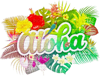 soave text summer  deco flowers tropical - фрее пнг