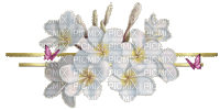 Flower, Flowers, Butterfly, Butterflies, Border, Borders, Deco, White, Pink, Gold, Animation, GIF - Jitter.Bug.Girl - GIF animado grátis