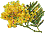 Yellow flowers 2 - Besplatni animirani GIF