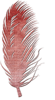 höyhen sulka feather sisustus decor - PNG gratuit