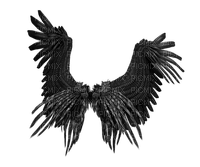 wings, siivet - png gratis