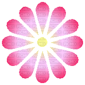 pink flower spin - GIF เคลื่อนไหวฟรี