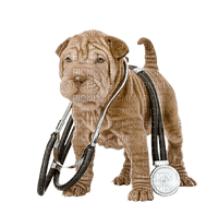 Veterinary clinic bp - gratis png