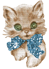 chaton au noeud bleu - Безплатен анимиран GIF