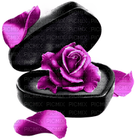 Rose.Petals.Box.Black.Purple - PNG gratuit