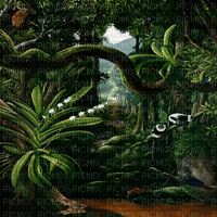 Y.A.M._Fantasy jungle forest background - PNG gratuit