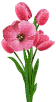 Tulpen, pink, Blumen - gratis png