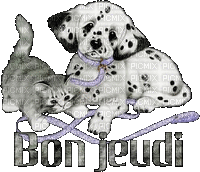chat et chien bon jeudi - Бесплатный анимированный гифка