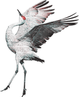 soave deco bird oriental crane pink teal