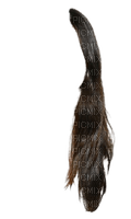 cheveux bruns - zdarma png
