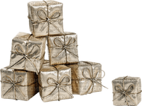 Christmas-Boxes-silver-deco-minou52 - png ฟรี