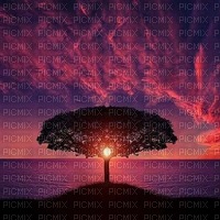 treesun - бесплатно png