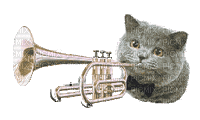 Kaz_Creations Funny Animated Cat Playing Trumpet - Gratis animeret GIF