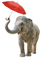 Y.A.M._Animals, elephant - PNG gratuit