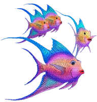 fancy fish - zadarmo png