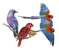 birds Nitsa - Безплатен анимиран GIF