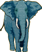 ELEPHANT - GIF animé gratuit