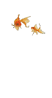 Рыба - Darmowy animowany GIF
