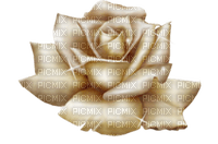 gold rose - δωρεάν png