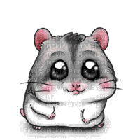 hamsters cromimi - PNG gratuit
