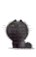 Black Cat gif - Animovaný GIF zadarmo