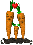 carrots - Gratis geanimeerde GIF
