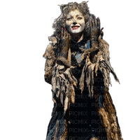Cats  the musical bp - kostenlos png