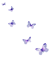 Schmetterlinge/Butterflys - Besplatni animirani GIF