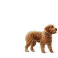 kikkapink cute animal dog puppy puppet - PNG gratuit